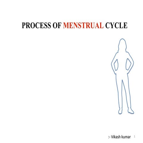 Menstrual cycle
