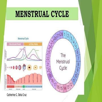 Menstrual Cycle for Grade 10 Science.pptx