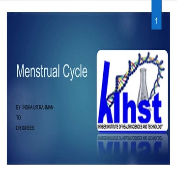 Menstrual cycle (3)