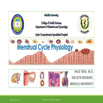 Menstrual Cycle and its Abnormalities.pdf
