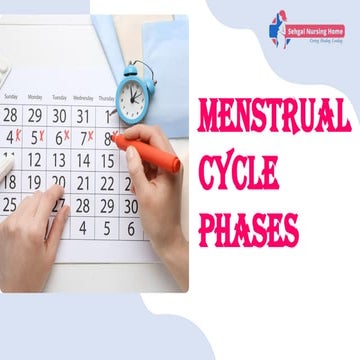 Menstrual cycle ppt nitin | PPTX