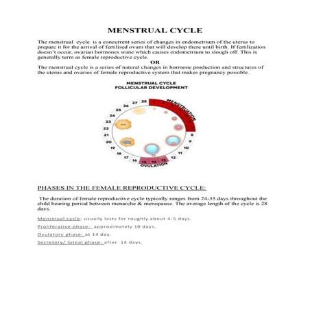 Menstural cycle