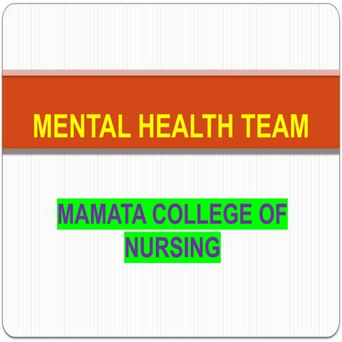 Mental health team presentation for nursing students