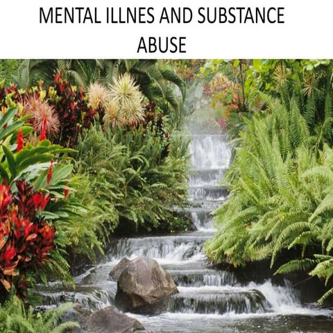 MENTAL ILLNESS AND SUBSTANCE ABUSE (2)-1.ppt
