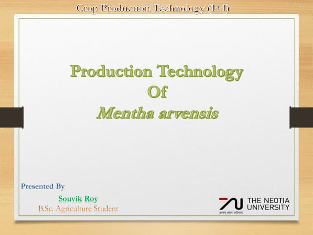 Production Technology of Mentha(Mentha arvensis)