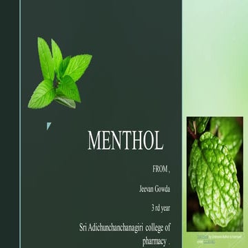 MENTHOL CRUDE DRUG ( pharmacognosy) ....