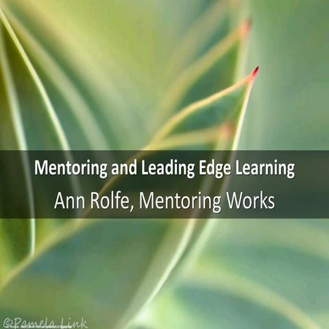 Mentoring and leading edge learning