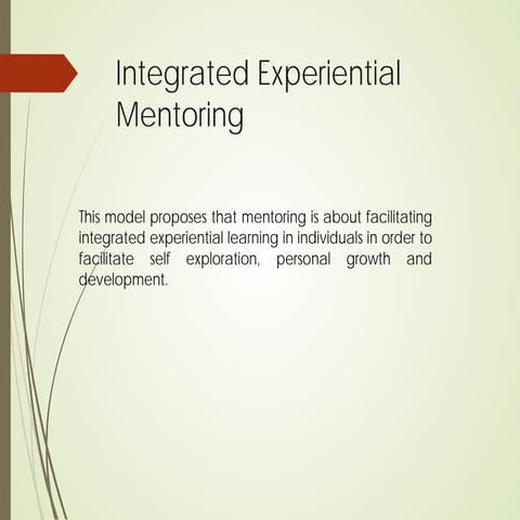 Integrated Experiential Mentoring 