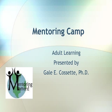 Mentoring – higher education