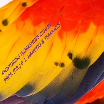 MENTORING WORKSHOPS 2016 BY PROF. (DR.) B. L. HANDOO & TEAM (IECS)