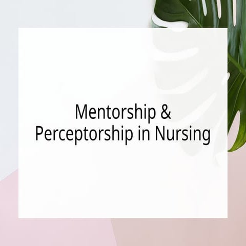 mentorship Perceptorship in Nursing.pptx