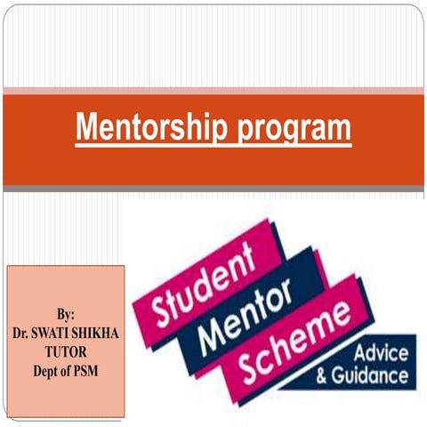 Mentorship program 