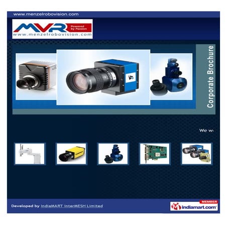 Menzel Vision & Robotics Pvt Ltd, Mumbai, Visual Inspection Systems 
