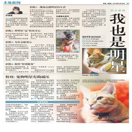 Satsugaicat on the news