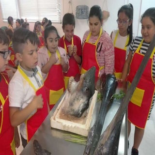 VISITA A MERCASEVILLA