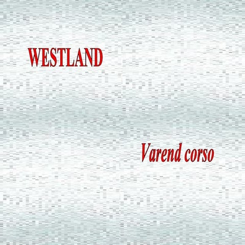 Mercado Flotante En Holanda