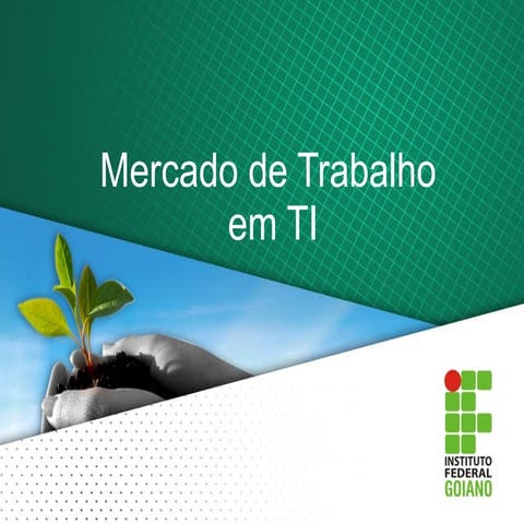 Mercado de Trabalho em TI