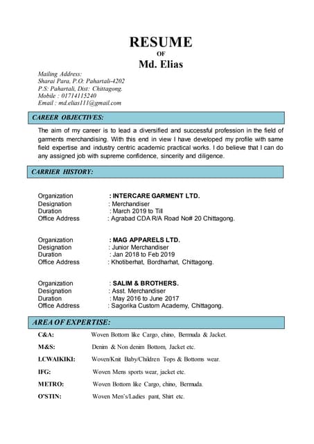 English CV form | PDF