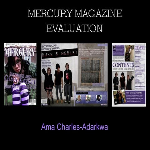 Mercury evaluation6