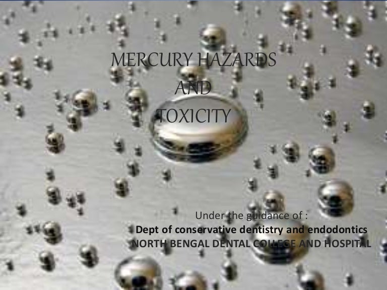 Mercury hazards and toxicity