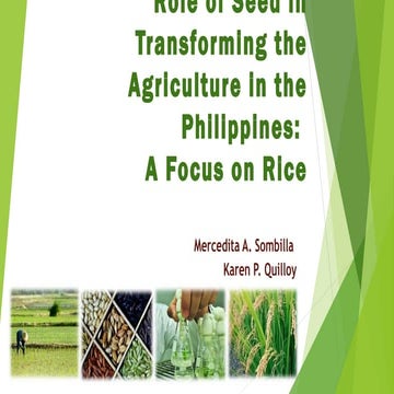 The seed sector in the Philippines - Mercy Sombilla