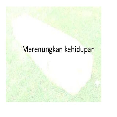Merenungkan kehidupan