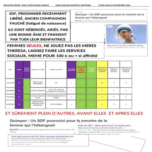 SYNTHESE RAPIDE ETUDE FEMINICIDES 2022.pdf