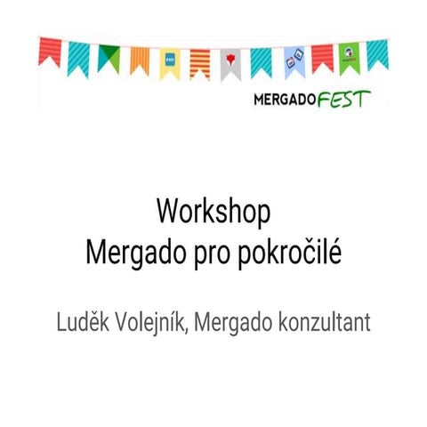MergadoFest - Luděk Volejník: Mergado pro pokročilé