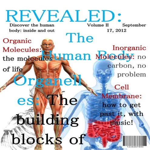 Revealed: The Human Body (Vol. II)