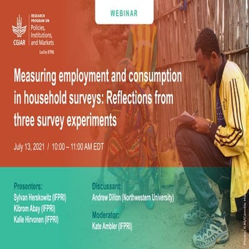 Measuring employment and consumption in household surveys: Reflections from t...