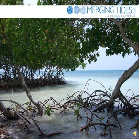 Merging tides introductory presentation