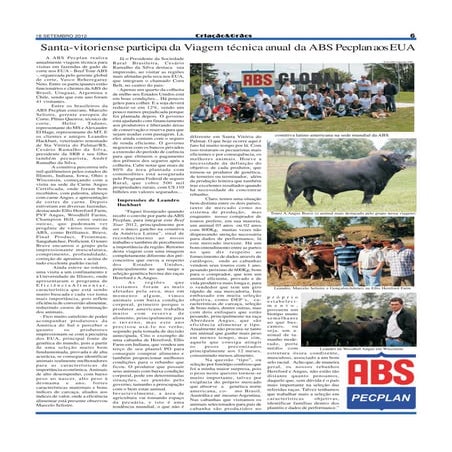 Mergulhao news   viagem de corte da abs