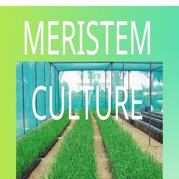 MERISTEM CULTURE: TECHNIQUES and APPLICATION.pptx