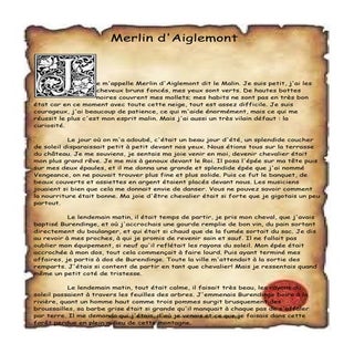 Merlin d'aiglemont  damien