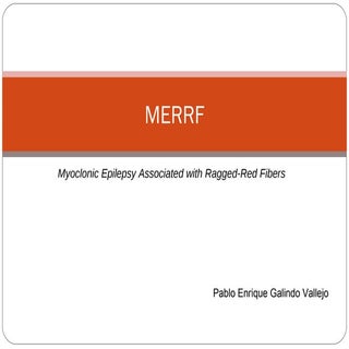 Merrf