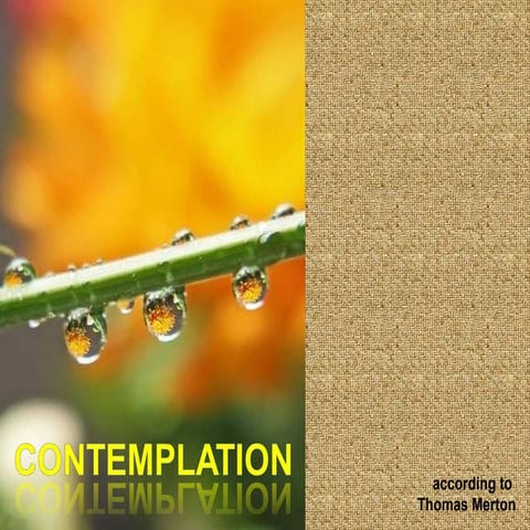 Contemplation is for everyone | PPT