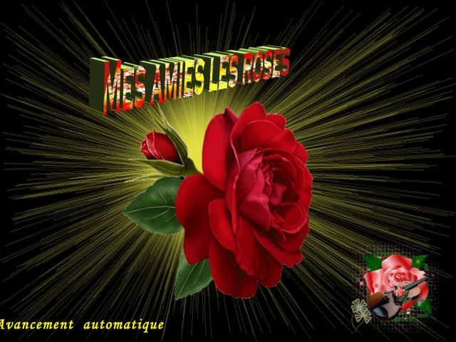 Mes amies les roses   charlotte.-