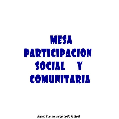 Mesa  participacion social y comunitaria 2010