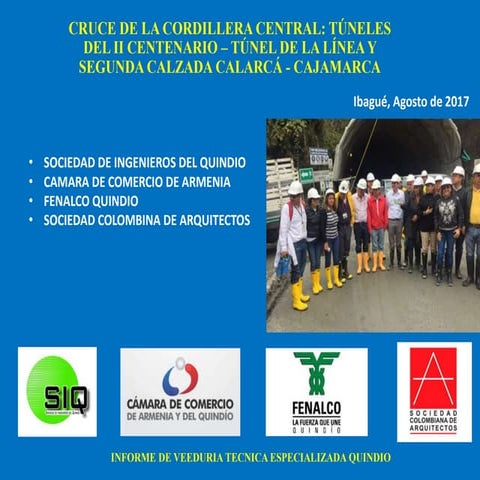 Veeduría Técnica Especializada - Túnel de la Línea QUINDIO 
