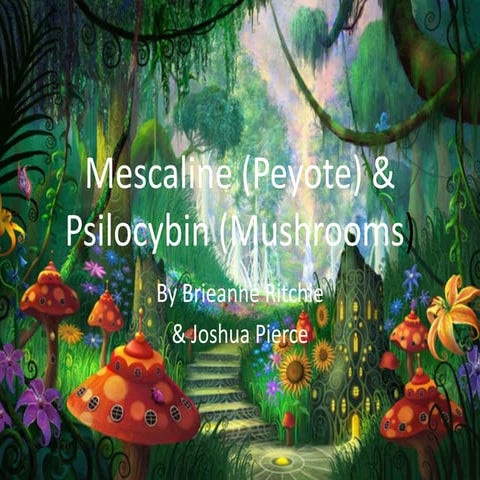 Mescaline (peyote) & psilocybin (mushrooms)