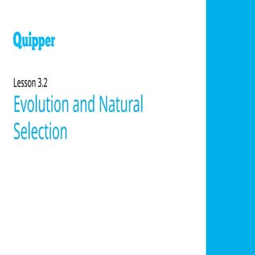 fosiiiiiiiiiiiillsssssssssssssssssssssss