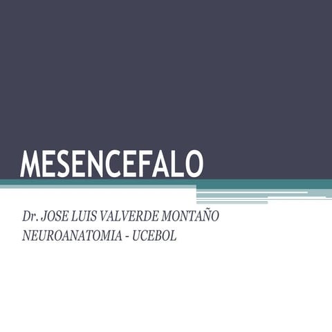 Mesecefalo