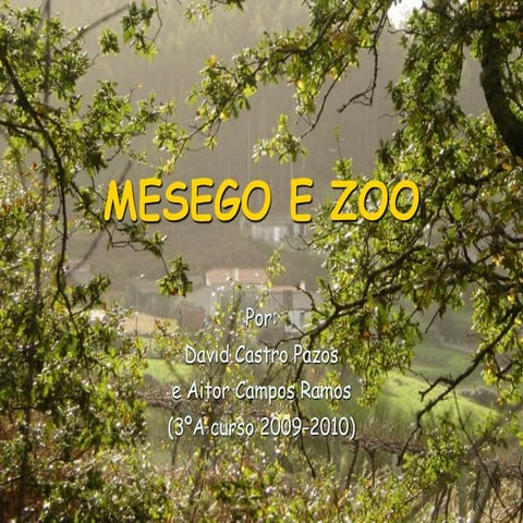 Mesego E Zoo