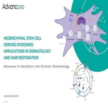 Mesenchymal Stem Cell-Derived Exosomes: Innovations in Skin and Hair ...