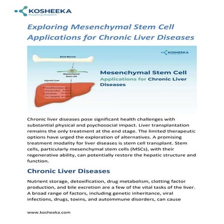 Exploring Mesenchymal Stem Cell Applications for Chronic Liver Diseases ...