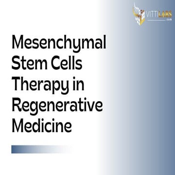 Bone Marrow–Derived Mesenchymal Stem Cells: From Source to Therapy | PDF