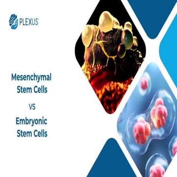 Role of Stem Cells in Regenerative Medicine.pptx