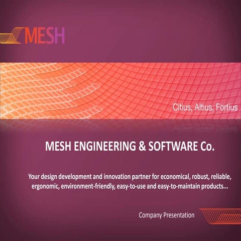 Mesh Company Presentation