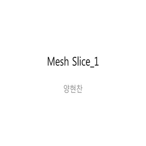 Mesh slice 1