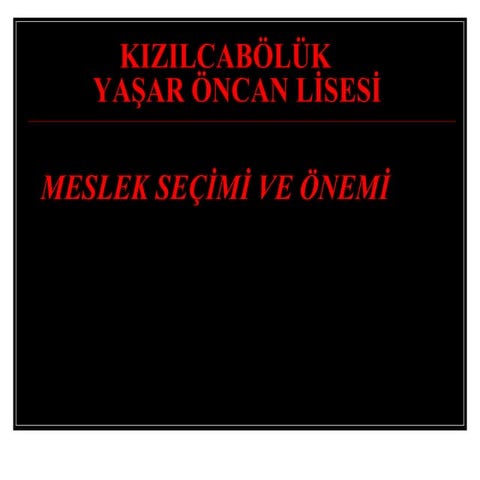 Mesleksecimi